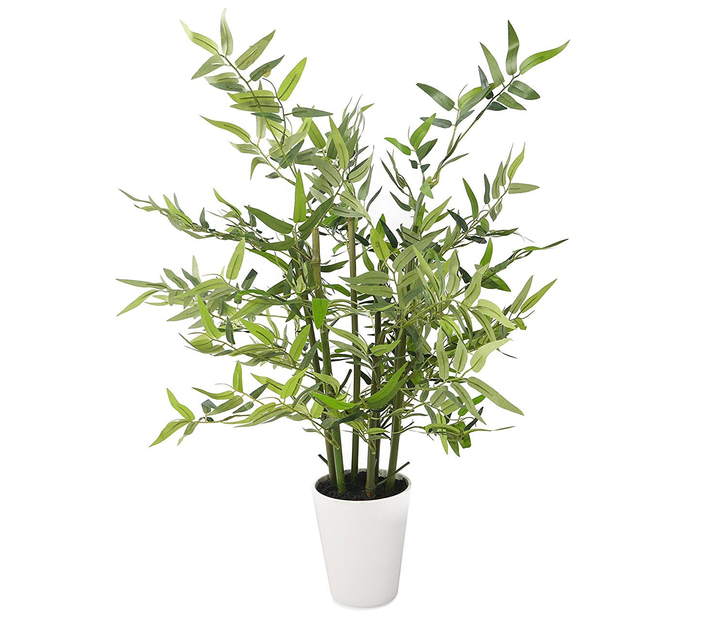 Closer2Nature Artificial 2ft 3" Green Bisset's Bamboo Tree in a Decorative White Pot