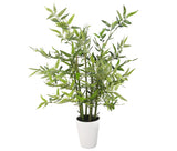 Closer2Nature Artificial 2ft 3" Green Bisset's Bamboo Tree in a Decorative White Pot